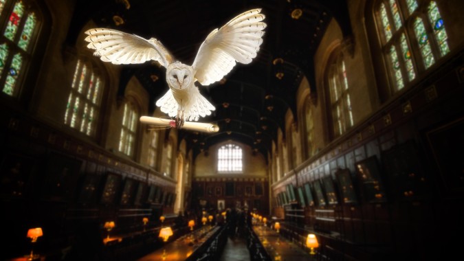Harry Potter owl and scroll - image by Willgard on Pixabay