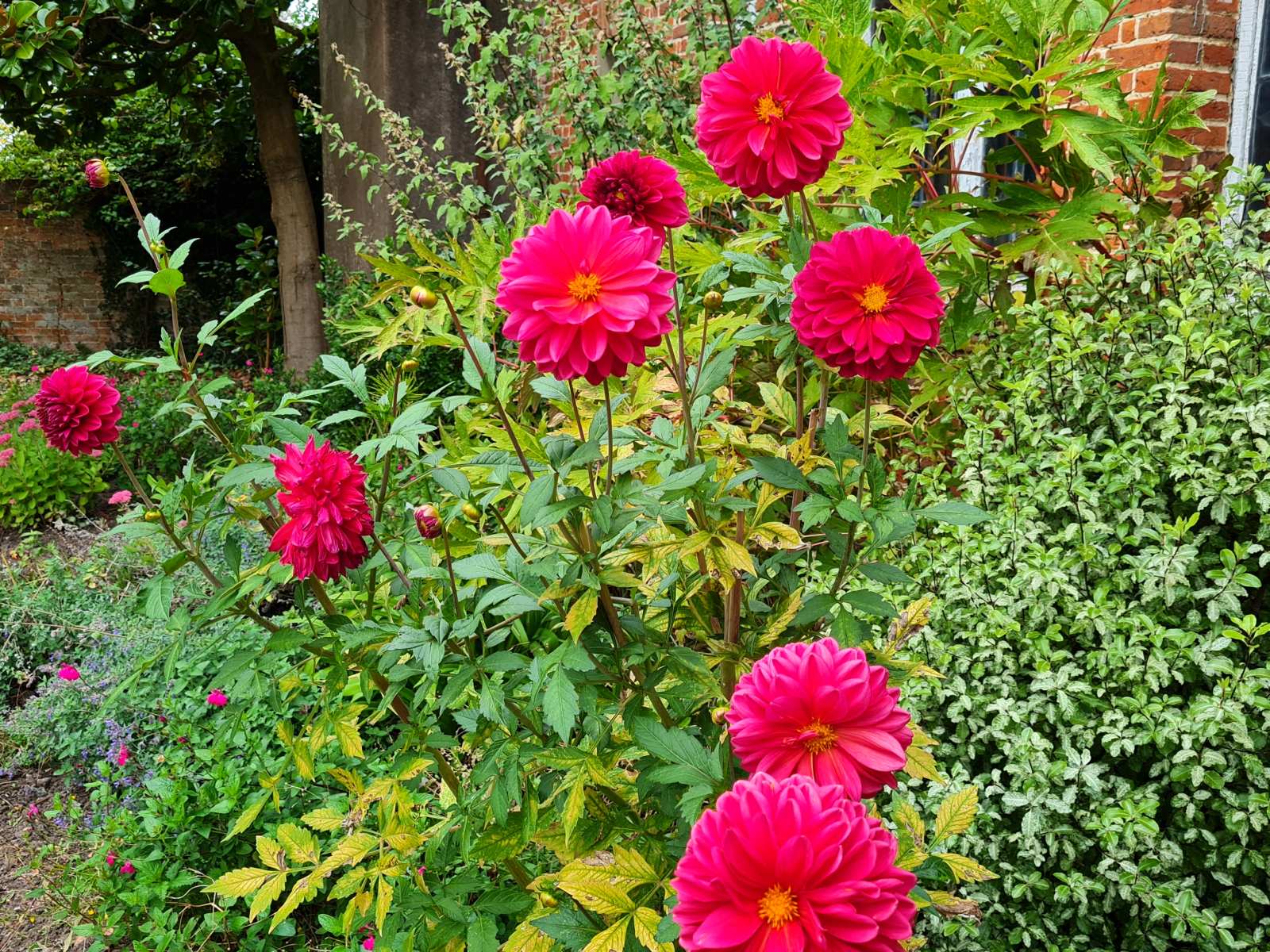 West Horsley Place - Button House (BBC Ghosts) West Horsley Place - Button House (BBC Ghosts)