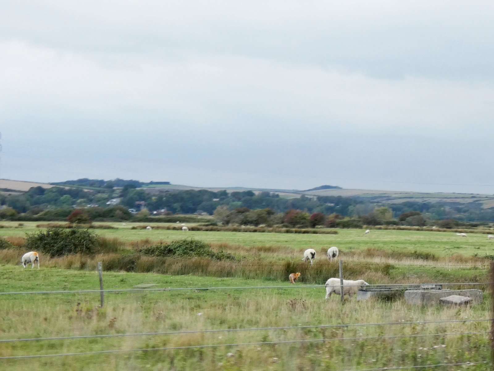 South east coastal road near Hastings