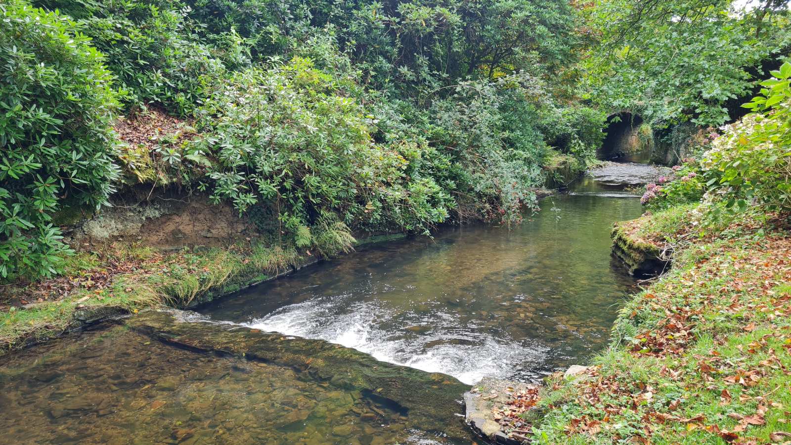 Hartland Abbey, Cornwall Hartland Abbey, Cornwall