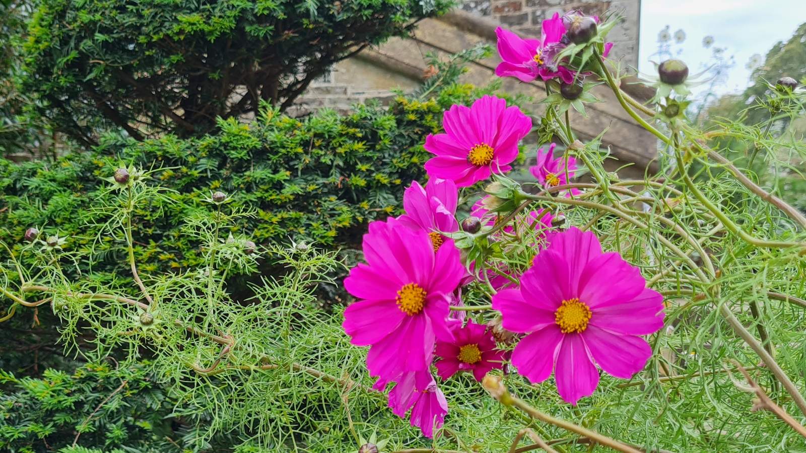Hartland Abbey, Cornwall Hartland Abbey, Cornwall