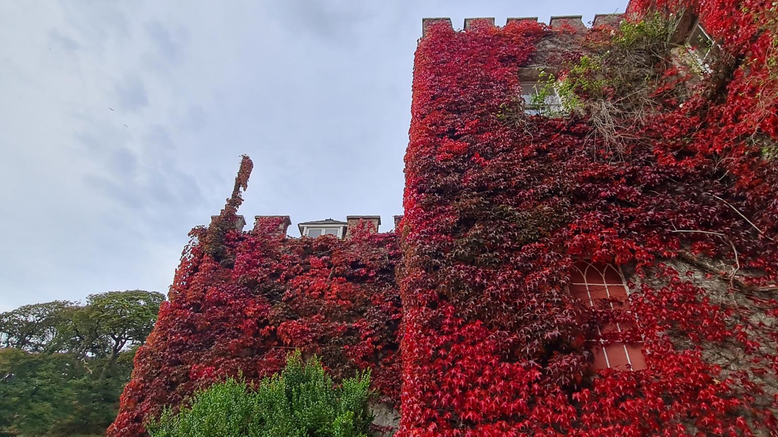 Hartland Abbey, Cornwall Hartland Abbey, Cornwall