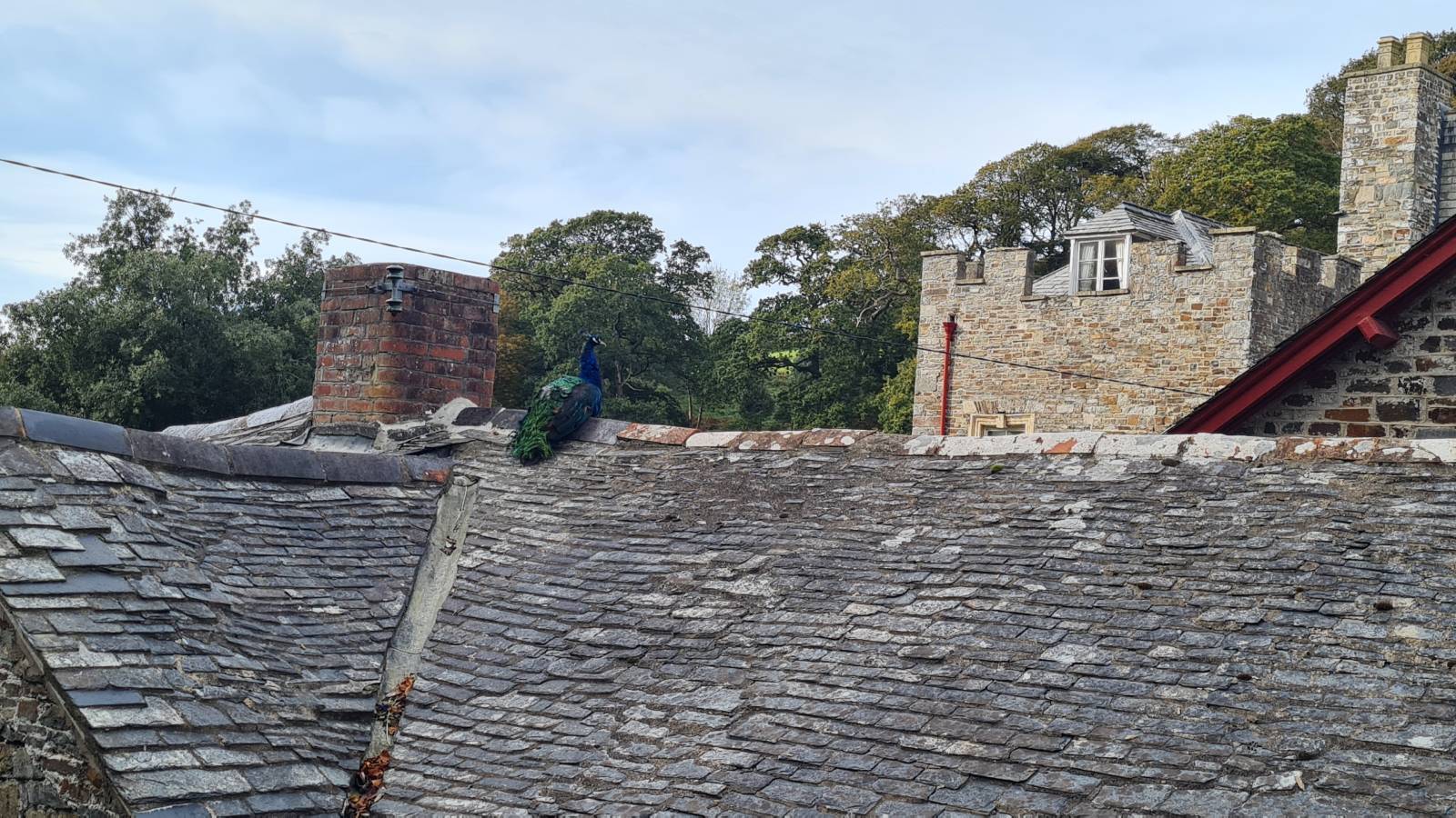 Hartland Abbey, Cornwall Hartland Abbey, Cornwall