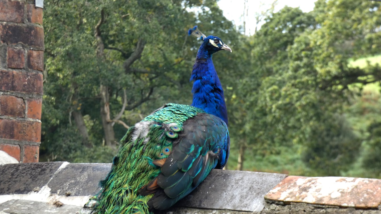 Hartland Abbey, Cornwall Hartland Abbey, Cornwall