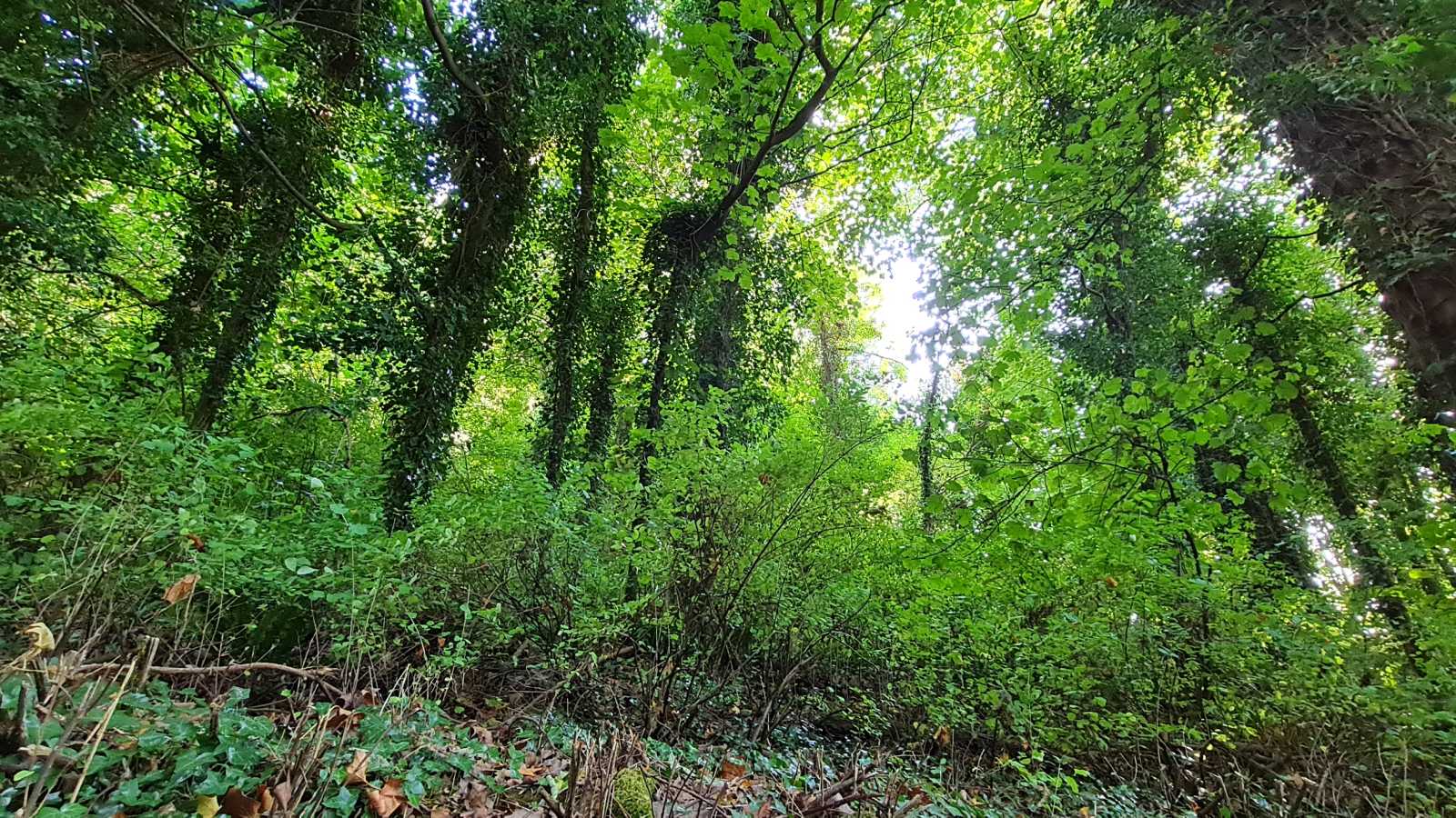 Castle Combe, England