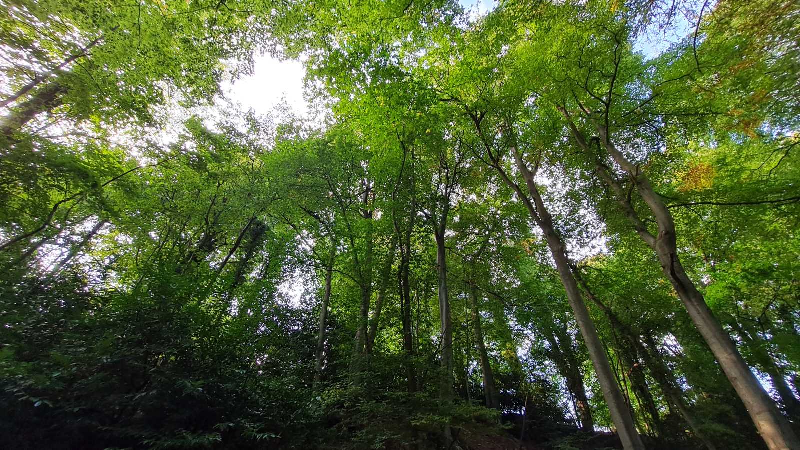 Castle Combe, England