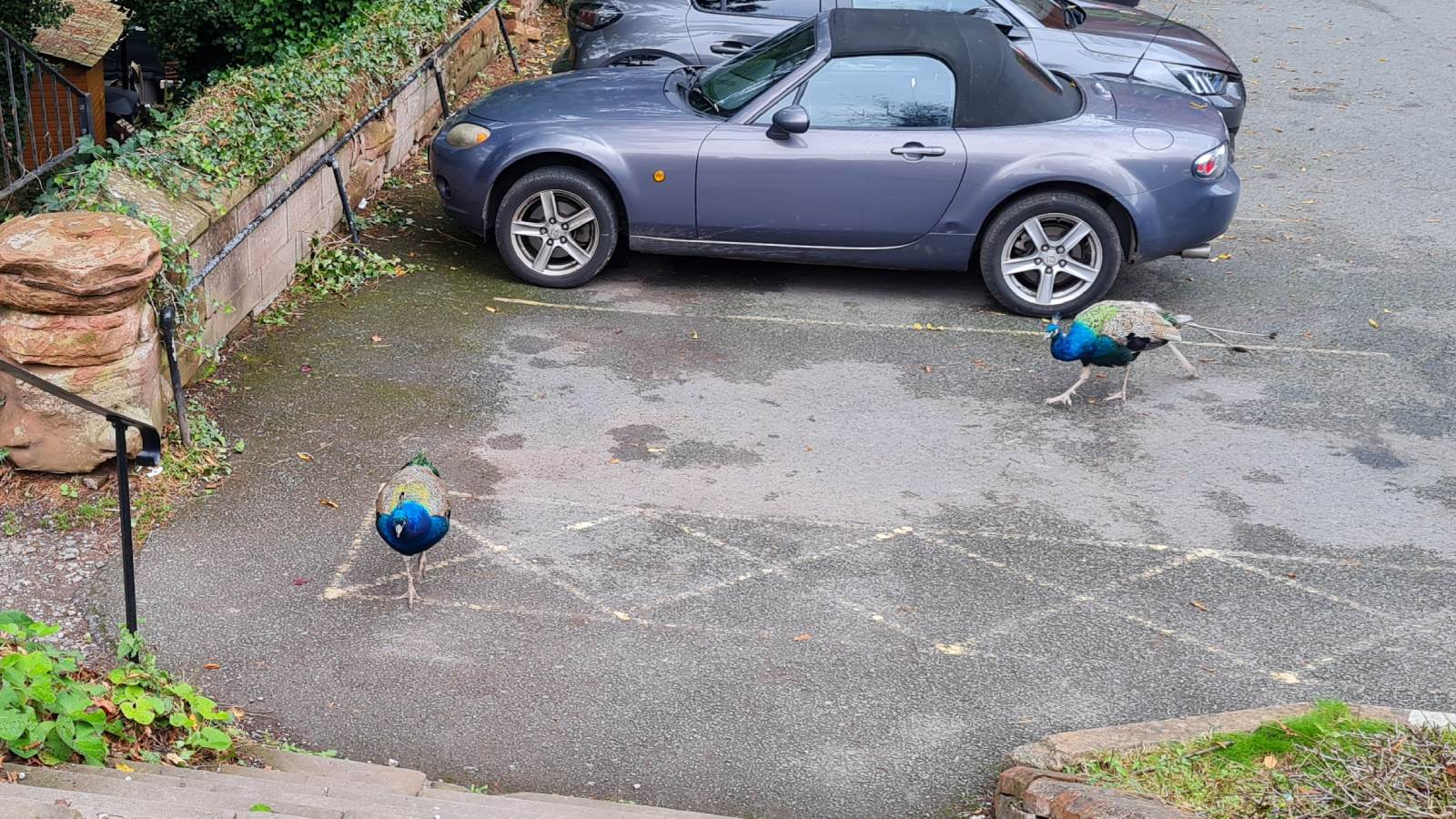 Ruthin Castle, Wales