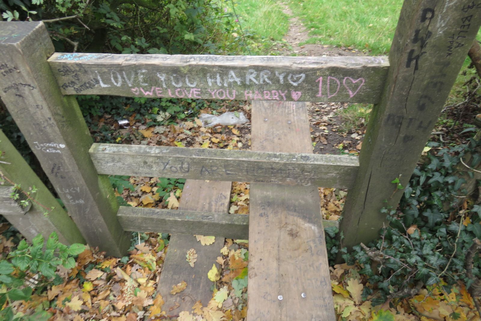 Twemlow Viaduct, Holmes Chapel, England