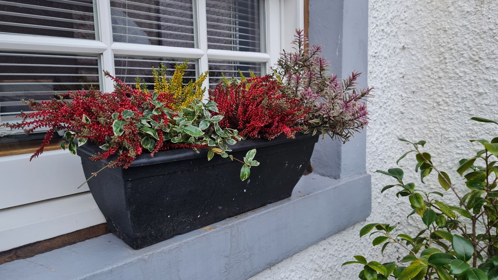 Newhaven (Edinburgh) Newhaven (Edinburgh)