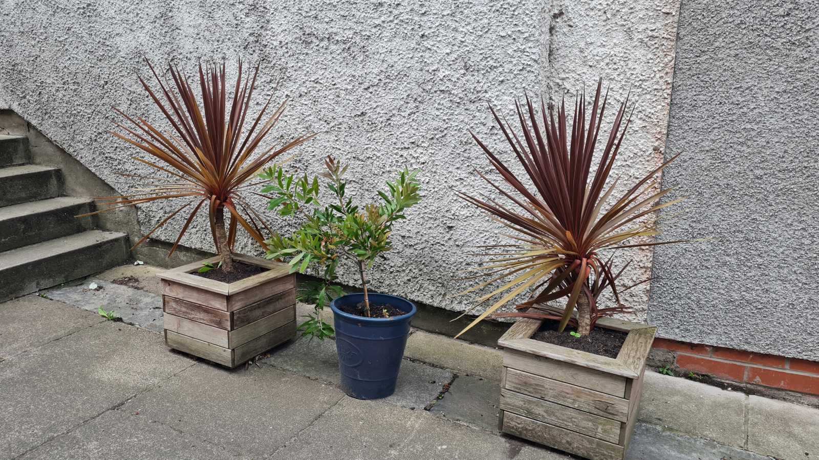 Newhaven (Edinburgh) Newhaven (Edinburgh)