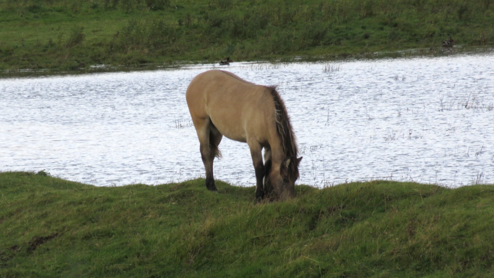 The Scottish Highlands