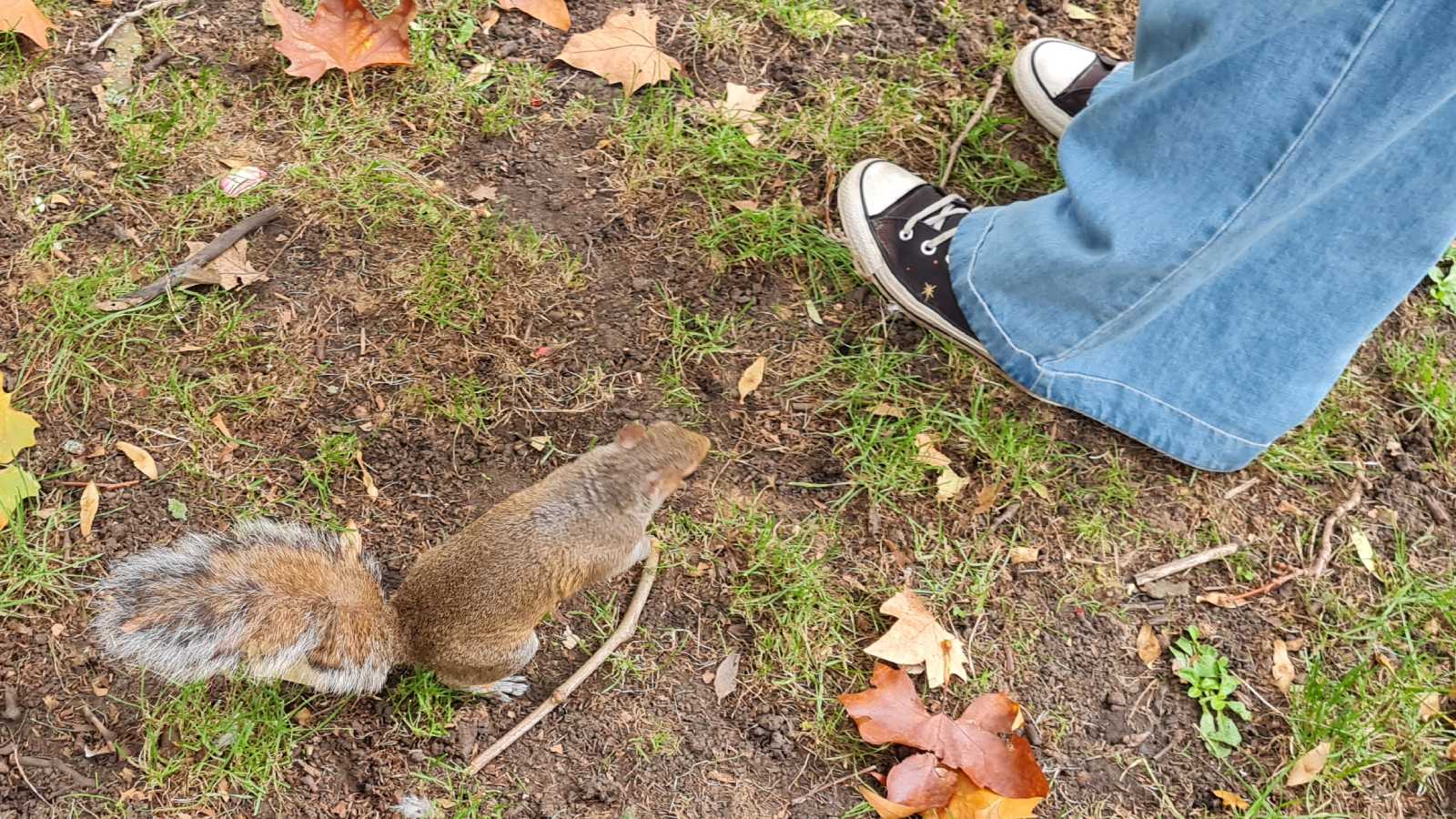 Tavistock Square, Bloomsbury, London