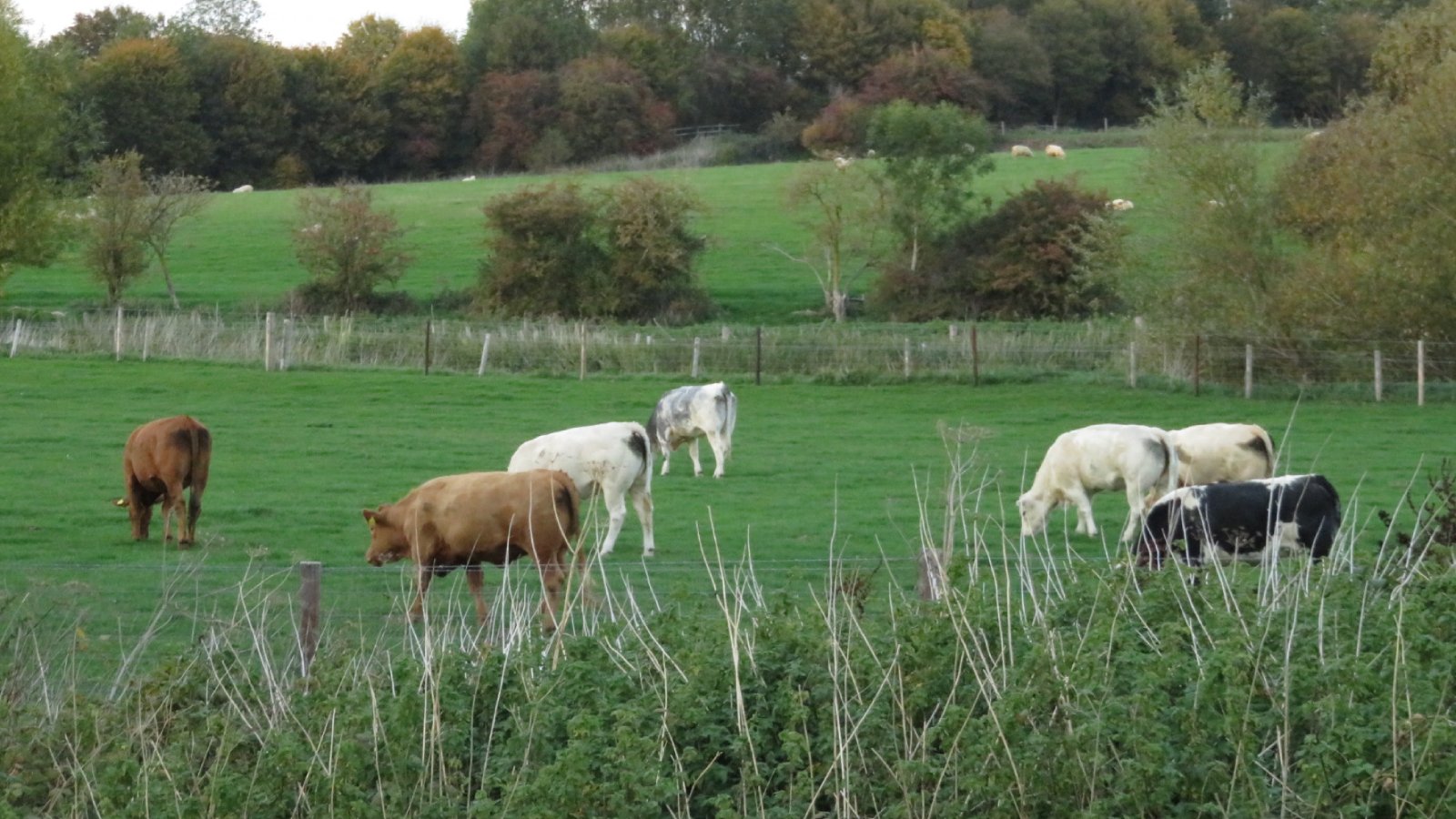 The Grove Lock, England