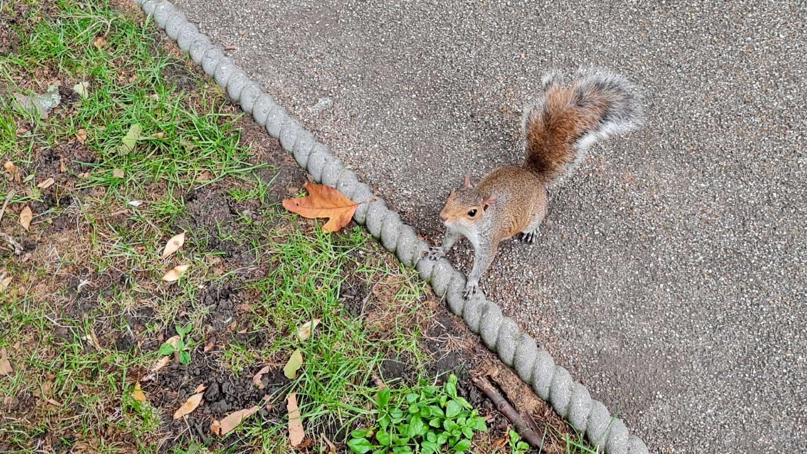 Tavistock Square, Bloomsbury, London