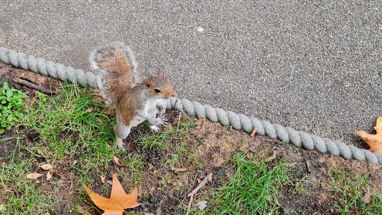 Tavistock Square, Bloomsbury, London
