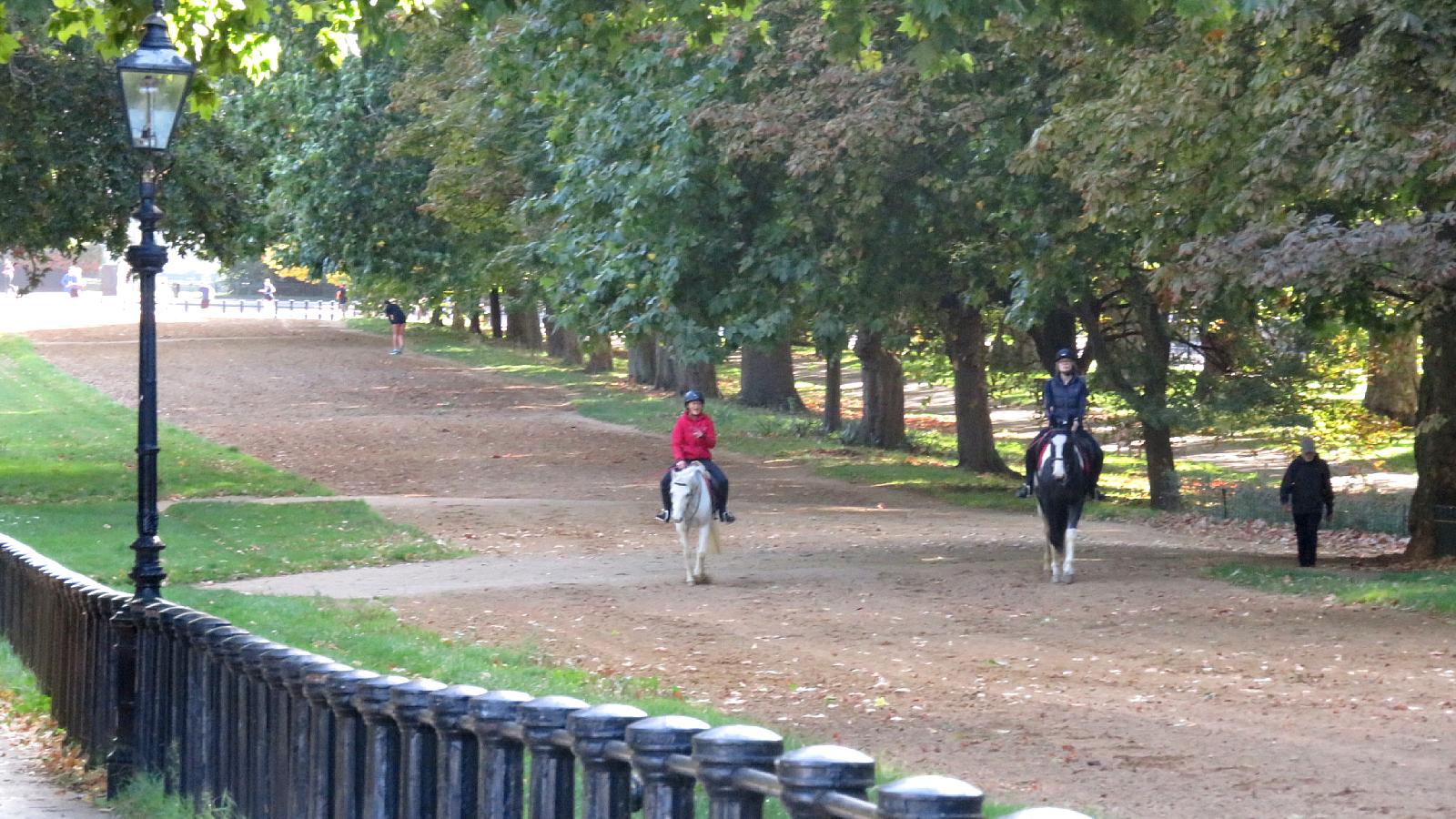 Horse riders in Hyde Park, London Horse riders in Hyde Park, London