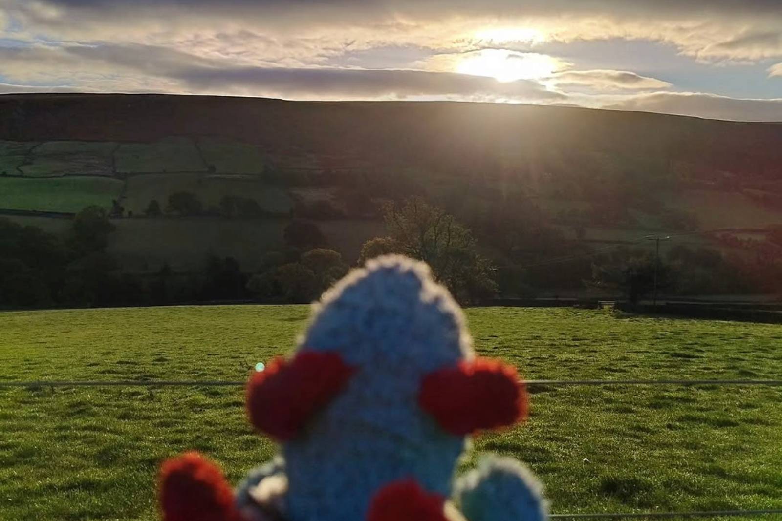 Arlo at the farm in Yorkshire